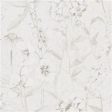 Image de Emilie Ivory - PDG1050/07