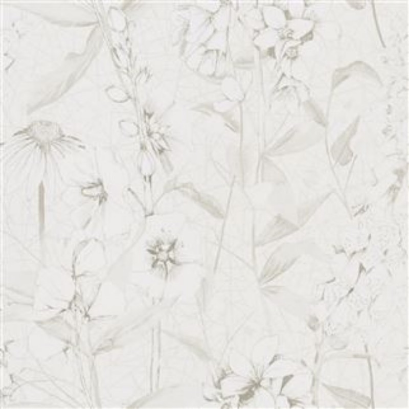 Picture of Emilie Ivory - PDG1050/07