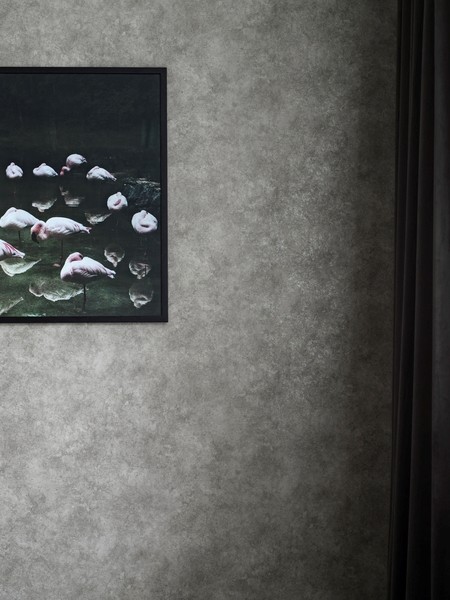 Image de Royal - 6355