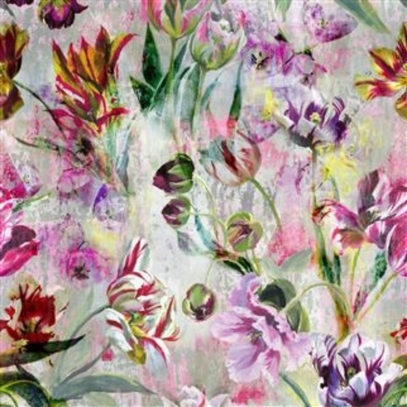 Picture of TULIPA STELLATA FUCHSIA - PDG1037/01