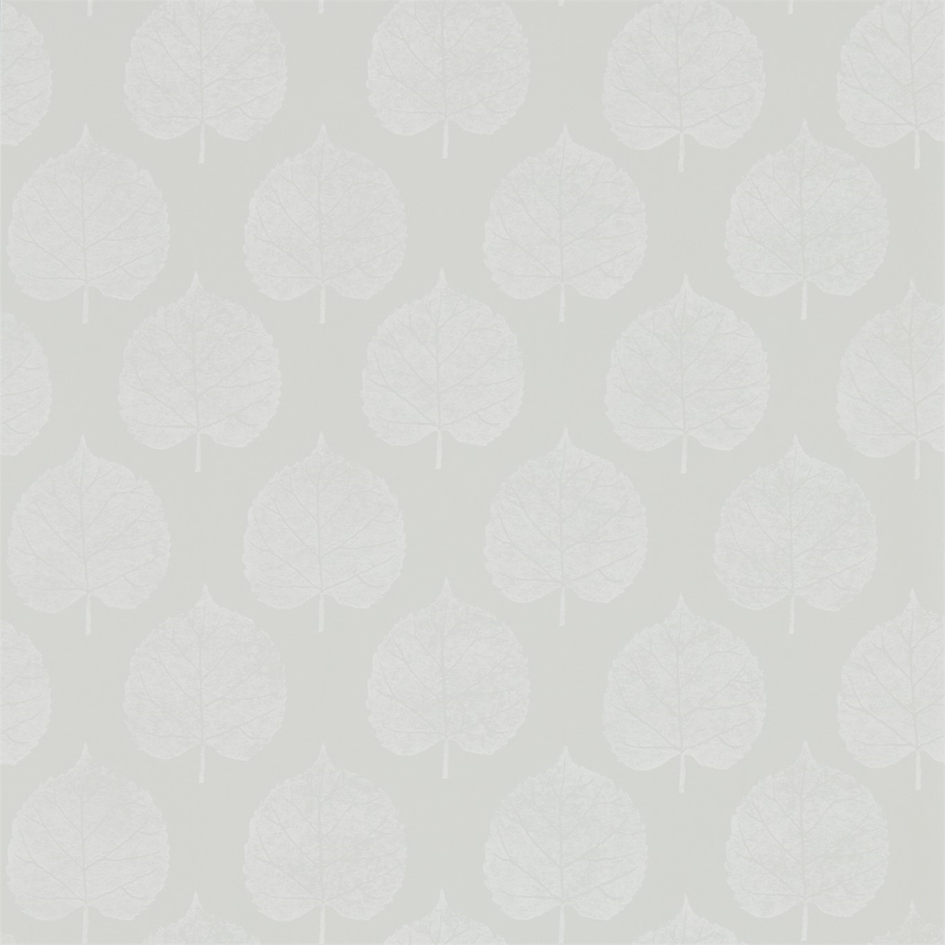 Picture of Lyme Leaf Dove - 216384