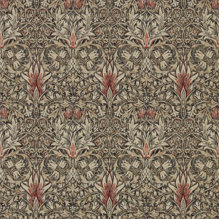 Image de Snakeshead Charcoal/Spice - 216425