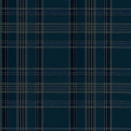 Image de DEERPATH TRAIL PLAID INDIGO - PRL5020/04