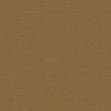 Picture of Raw Silk - 4572