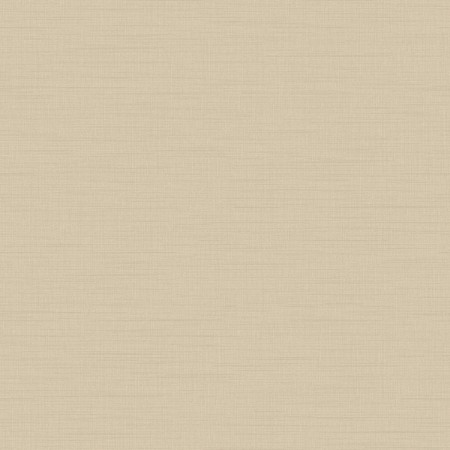 Picture of Raw Silk - 4571