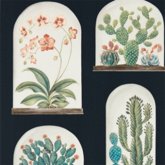 Image de Terrariums Ink/Multi - 216658