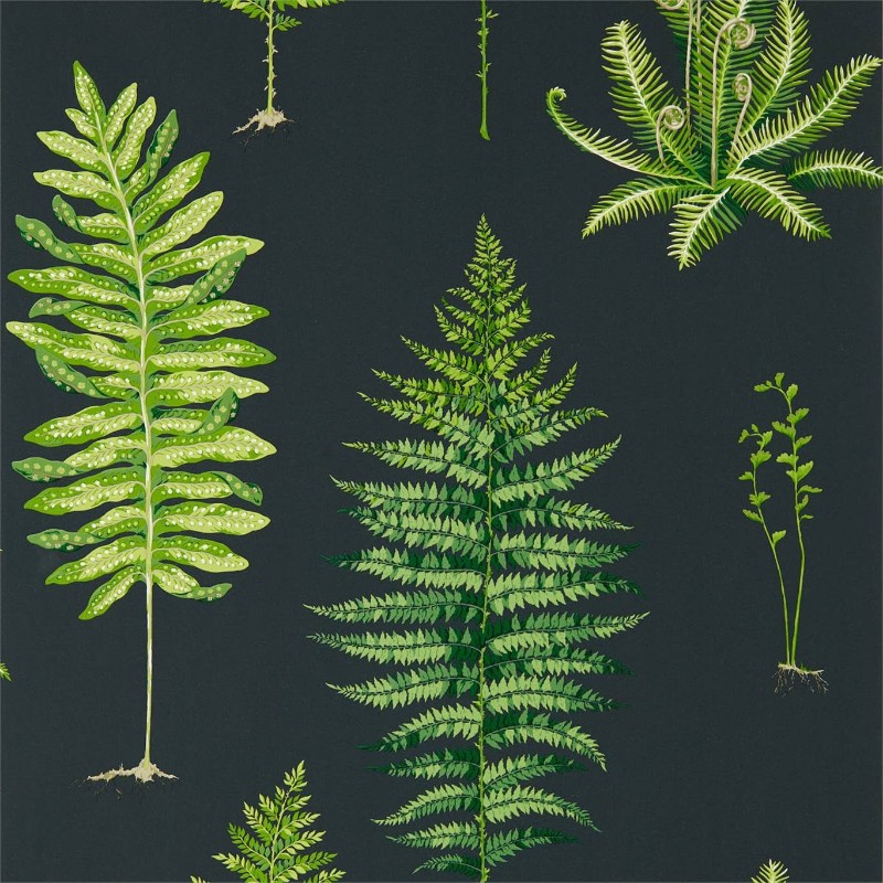 Image de Fernery Botanical Green/Charcoal - 216634
