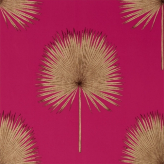 Picture of Fan Palm Rhodera/Gilver - 216638