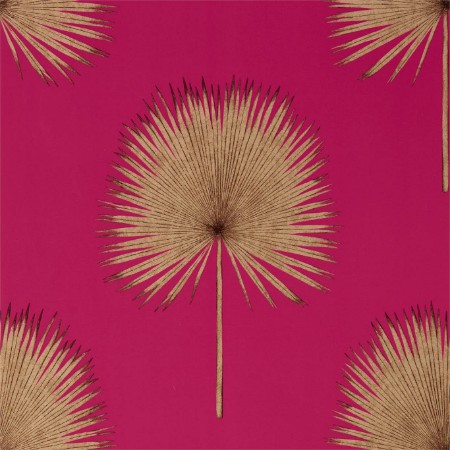 Image de Fan Palm Rhodera/Gilver - 216638