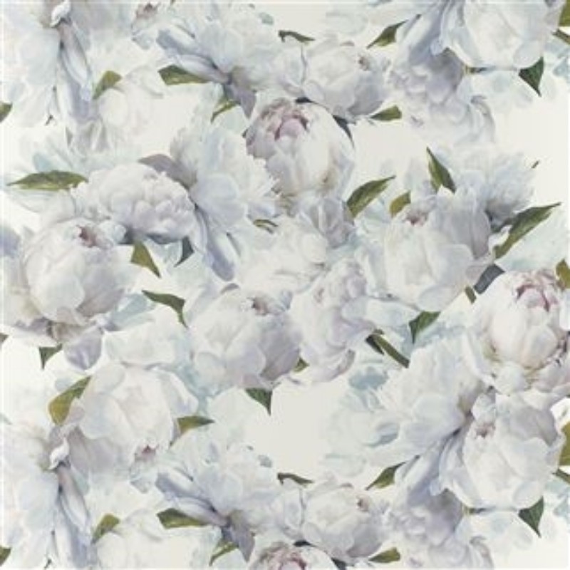 Picture of PEONIA IVORY - PDG1094/02