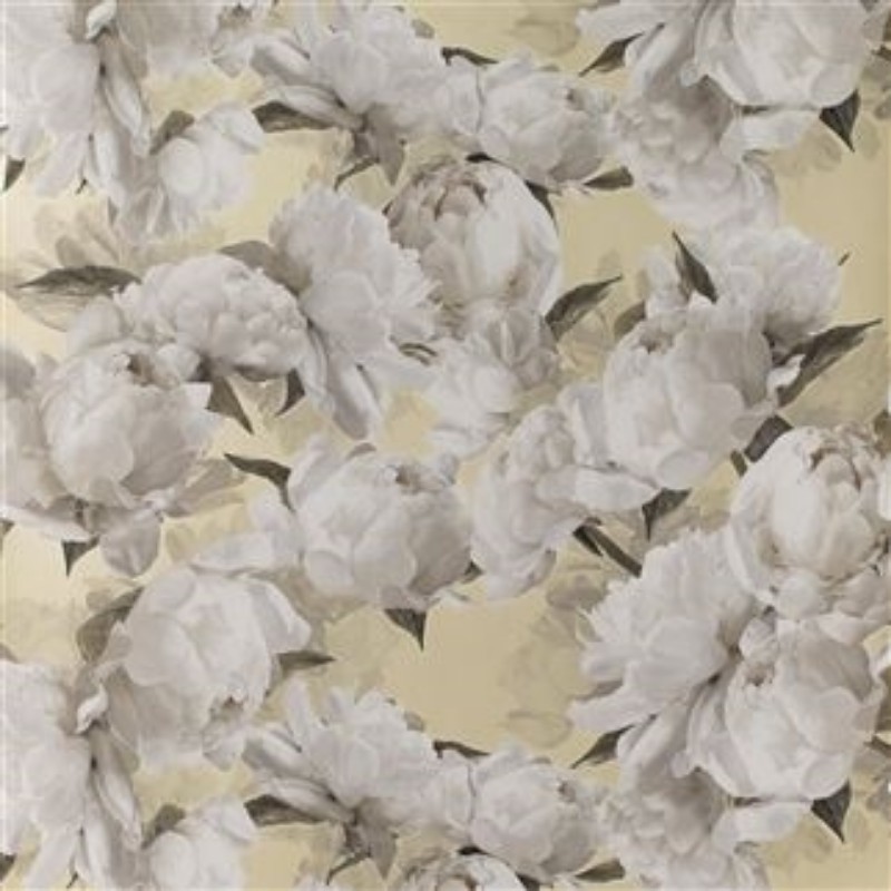 Bild på PEONIA GOLD - PDG1094/04
