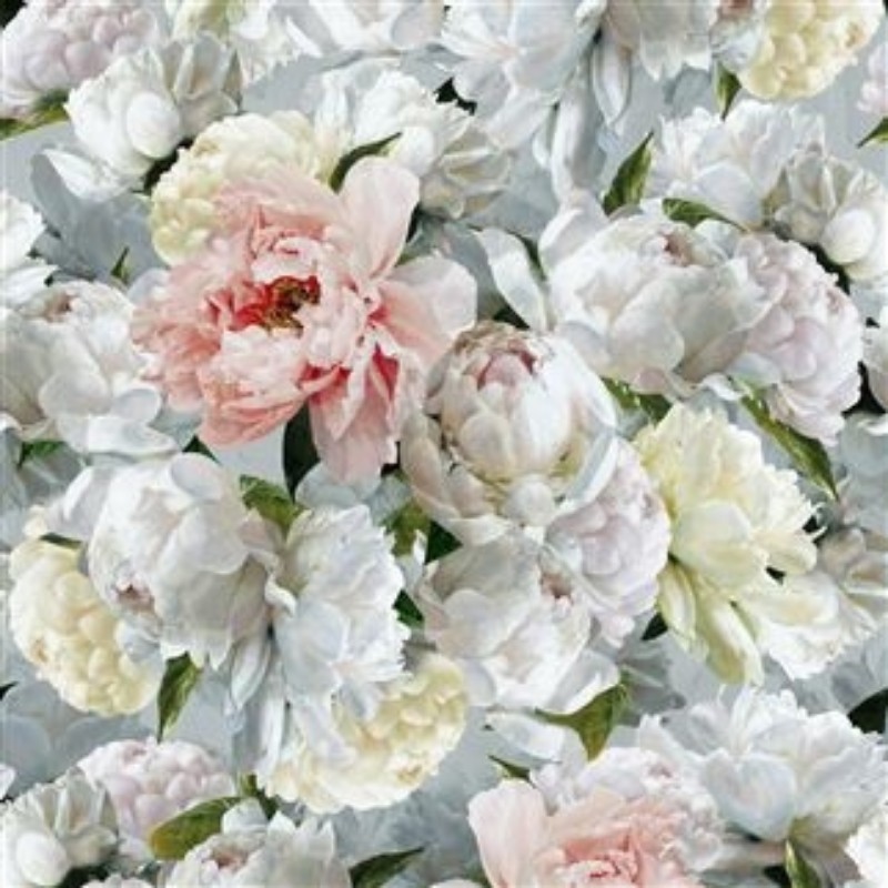 Bild på PEONIA GRANDE ZINC - PDG1102/01