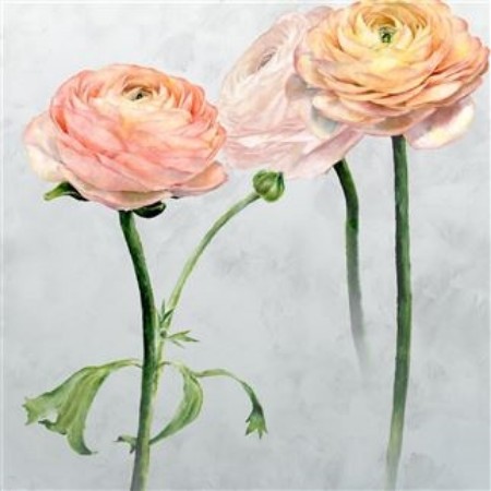 Picture of TOURANGELLE SCENE 1 PEONY - PDG1099/01