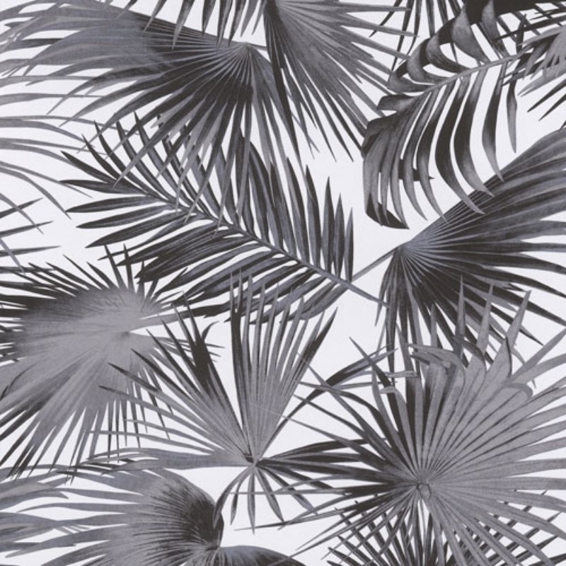 Bild på Ratan Moon - WIL103