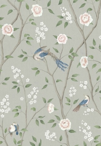 Image de Paradise Birds - 1903