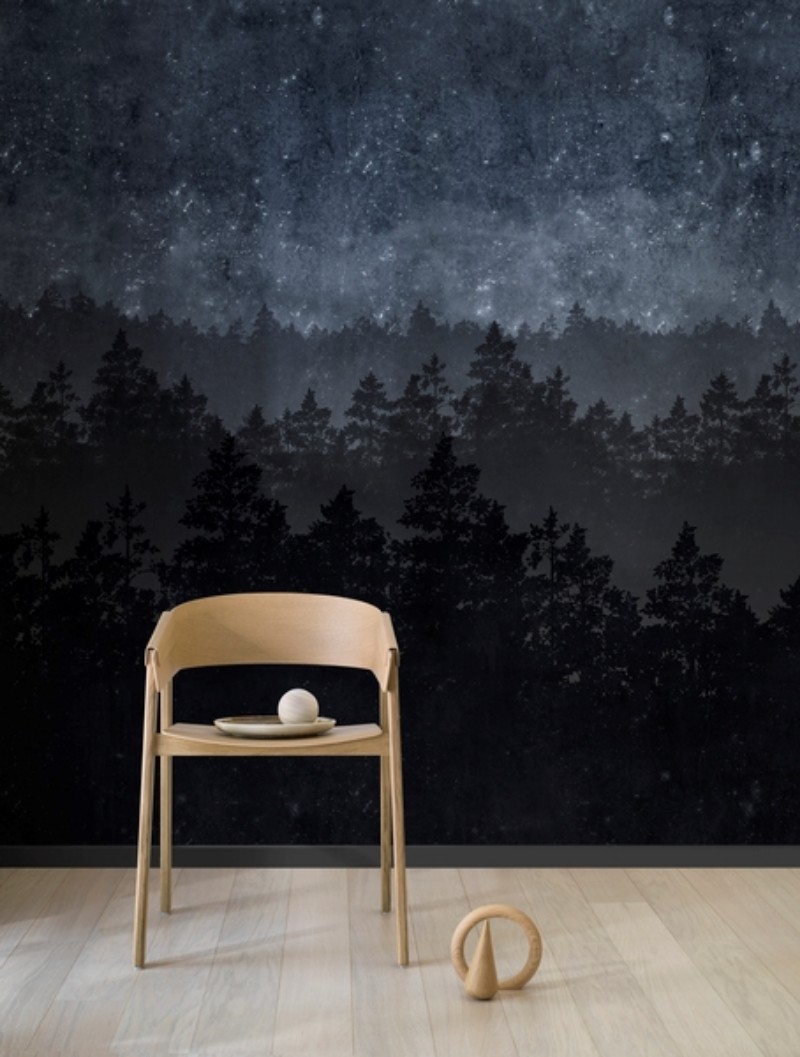 Picture of Nordic Night - 8845