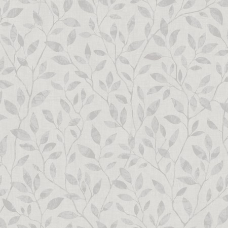 Picture of Willow - 8838