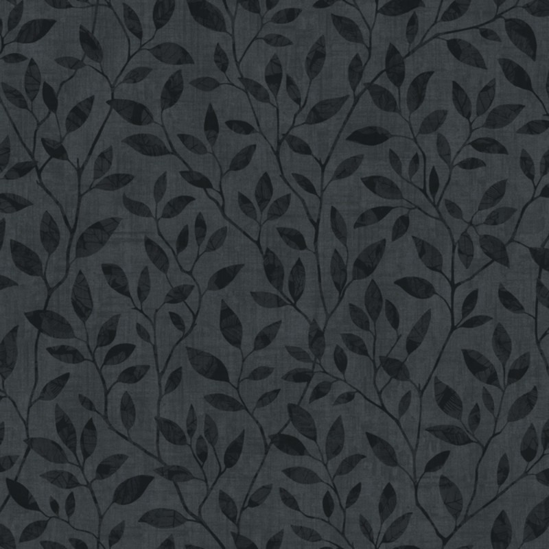 Picture of Willow - 8836