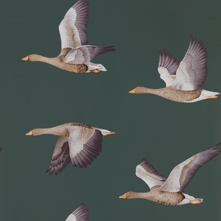 Image de Elysian Geese Amsterdam Green - DYSI216608