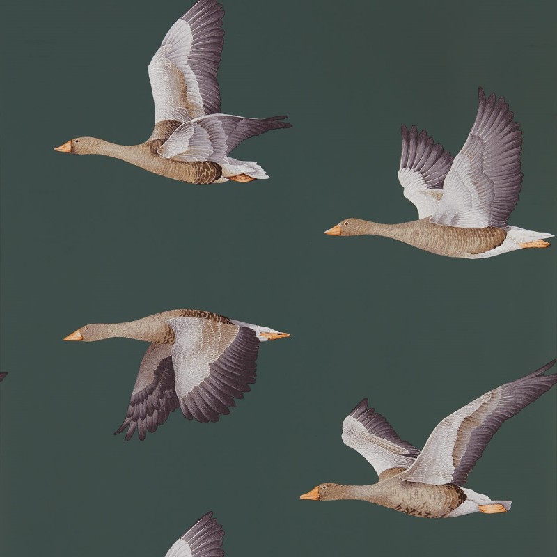 Afbeeldingen van Elysian Geese (Wallpaper) Amsterdam Green - DYSI216608