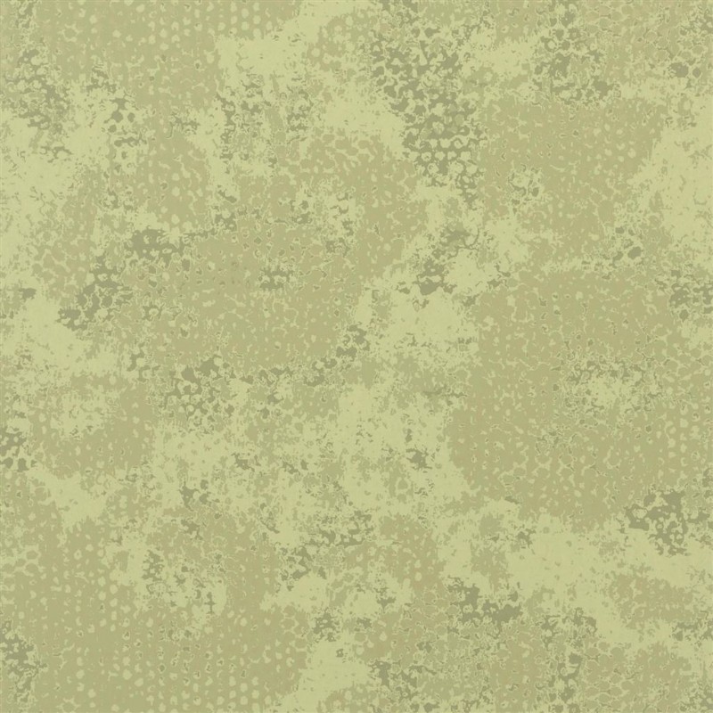 Bild på Udyana - Olive - PDG643/07