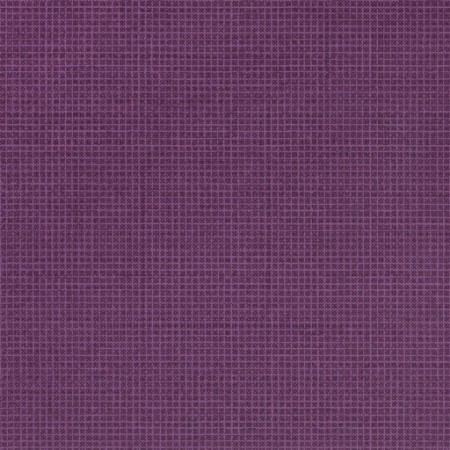 Picture of Tolmer - Viola - P528/09