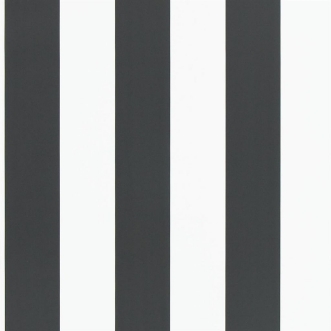 Bild på Spalding Stripe Black / White - PRL026/09