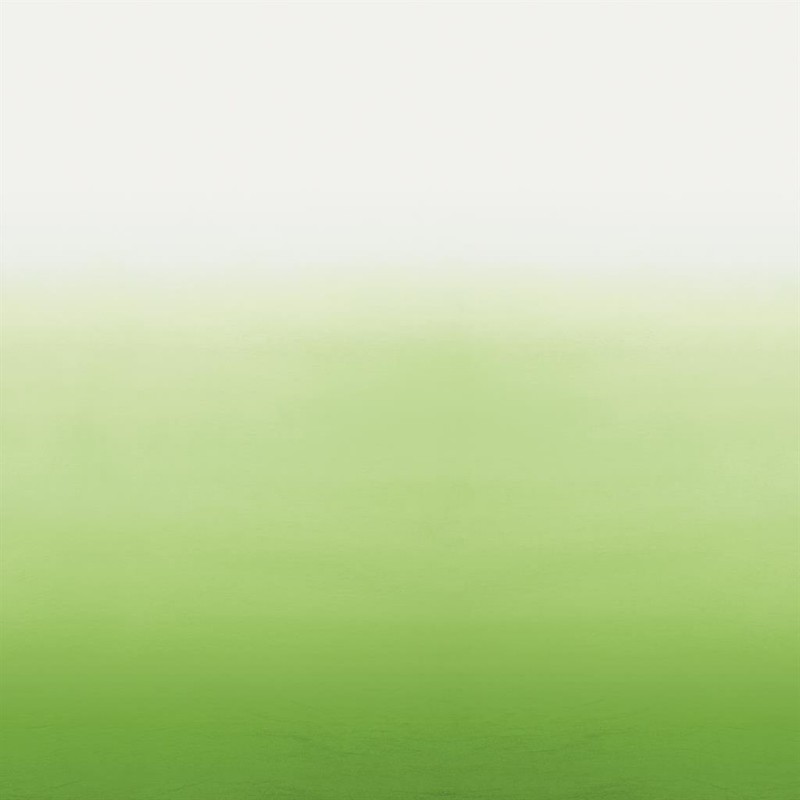 Picture of SARAILLE - GRASS - P600/08