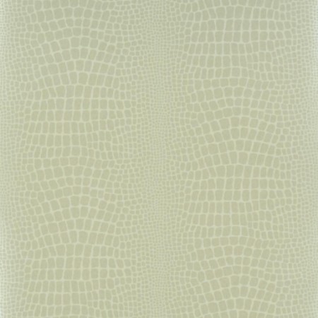 Image de Pietra - Ecru - P544/03