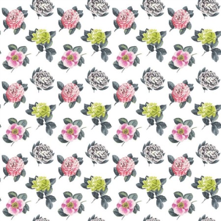 Picture of Pavonia - Peony - P601/01