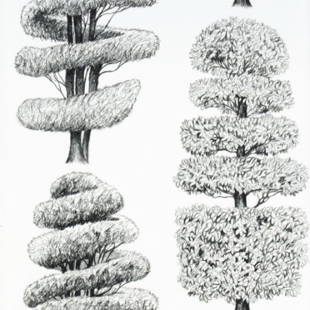 Picture of Linnaeus - Noir - P557/06