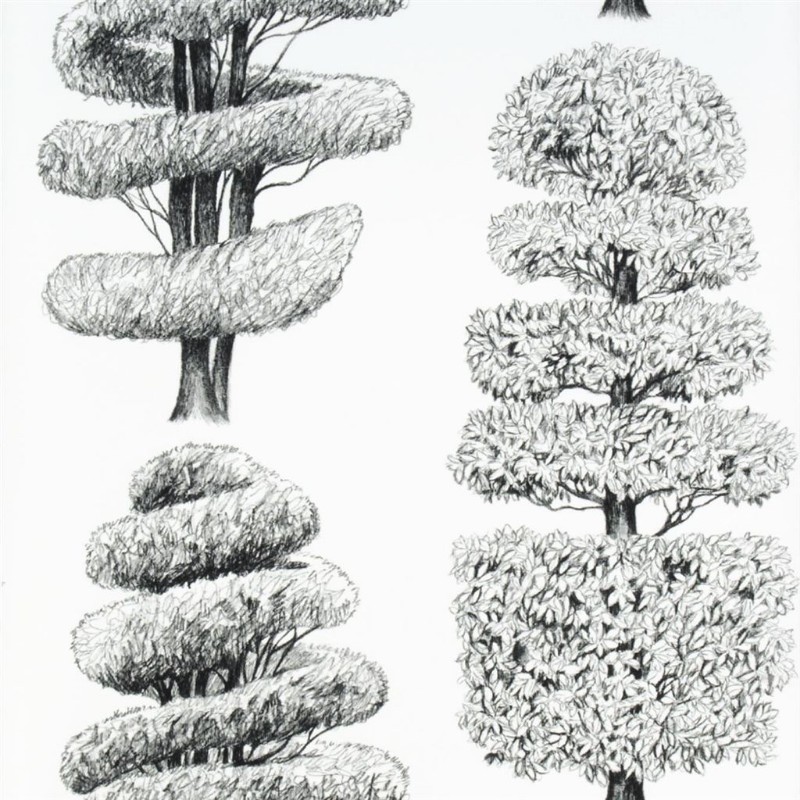 Picture of Linnaeus - Noir - P557/06