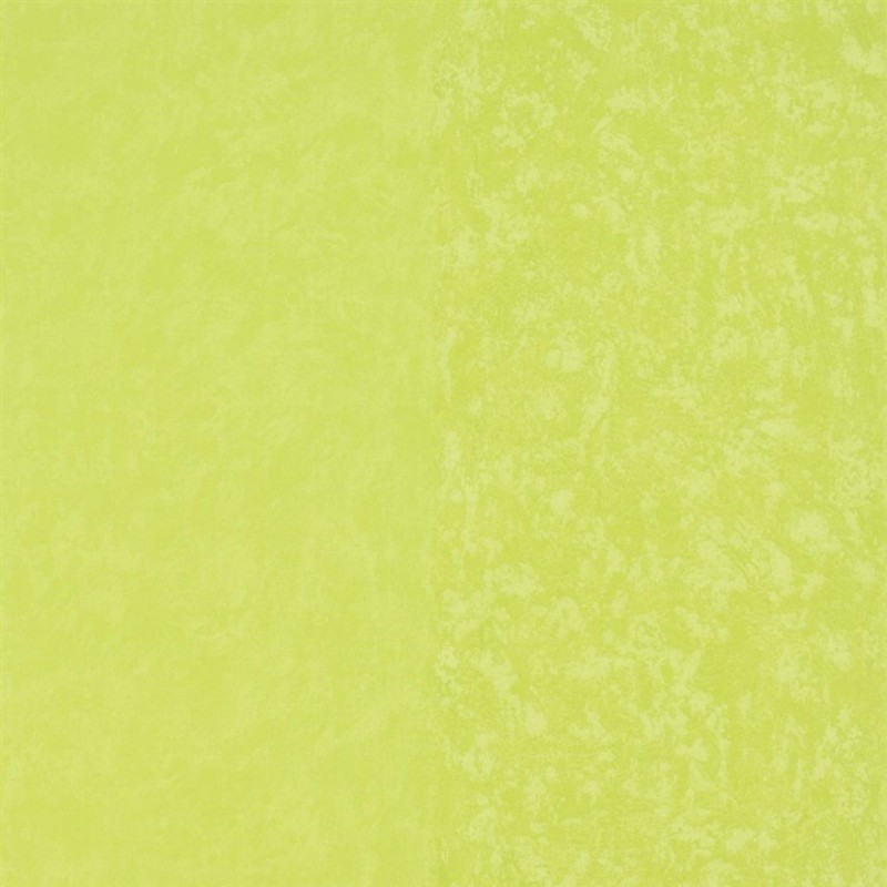 Picture of Kalpana - Lime - P576/14