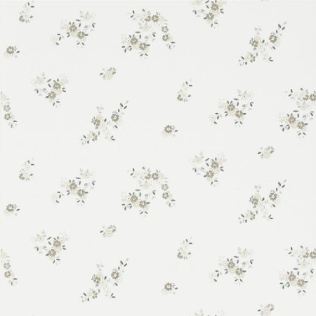 Image de Gentian - Ecru - P588/01