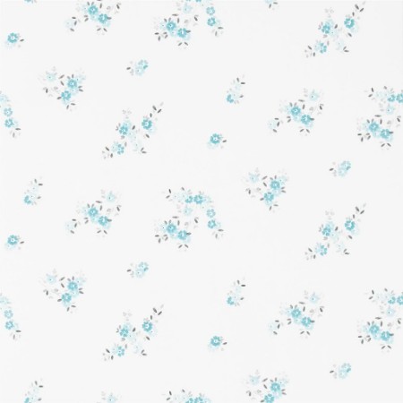 Image de Gentian - Aqua - P588/03