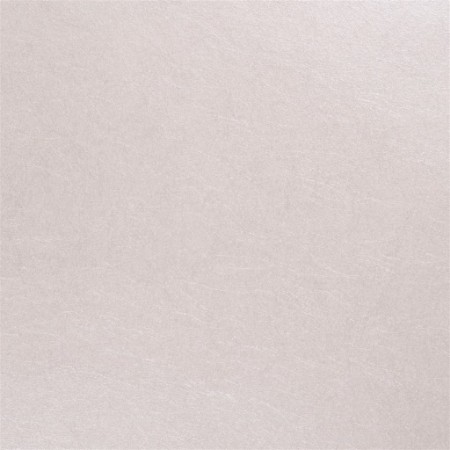 Picture of ERNANI - SHELL - P502/11