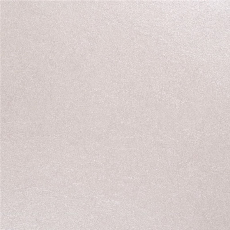 Picture of ERNANI - SHELL - P502/11