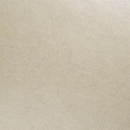 Image de Ernani - Opal - P502/08