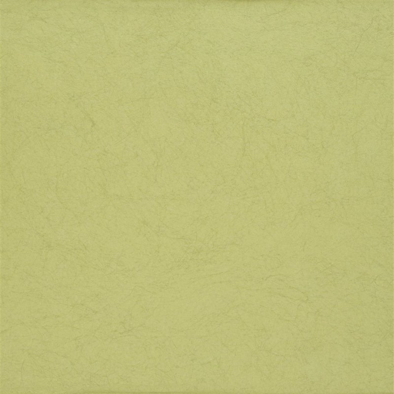 Picture of ERNANI - MOSS - P502/55