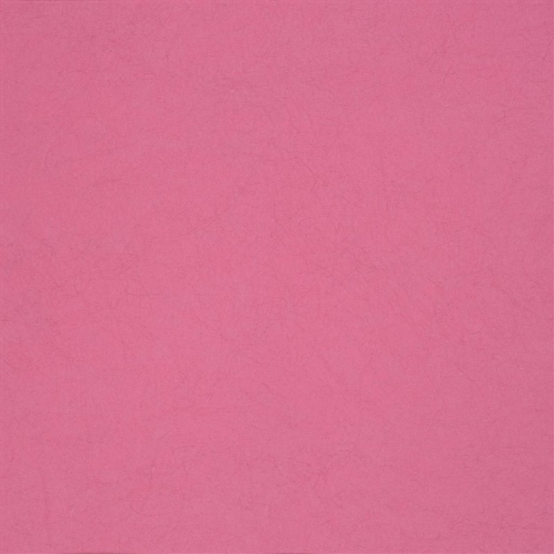 Picture of ERNANI - FUCHSIA - P502/41