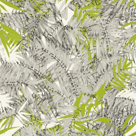 Bild på Eden Roc - Amazonie - PCL017/07