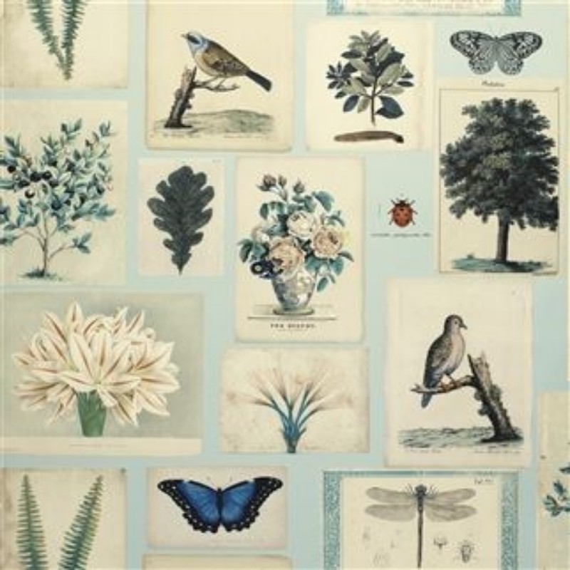 Afbeeldingen van FLORA AND FAUNA CLOUD BLUE - PJD6001/02