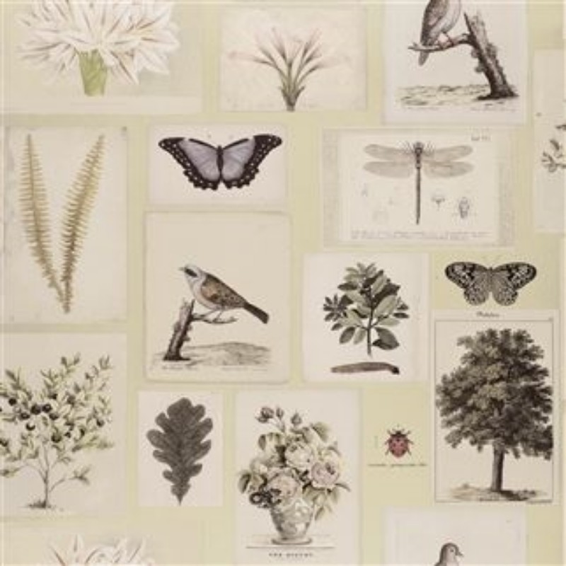 Afbeeldingen van FLORA AND FAUNA CANVAS - PJD6001/03