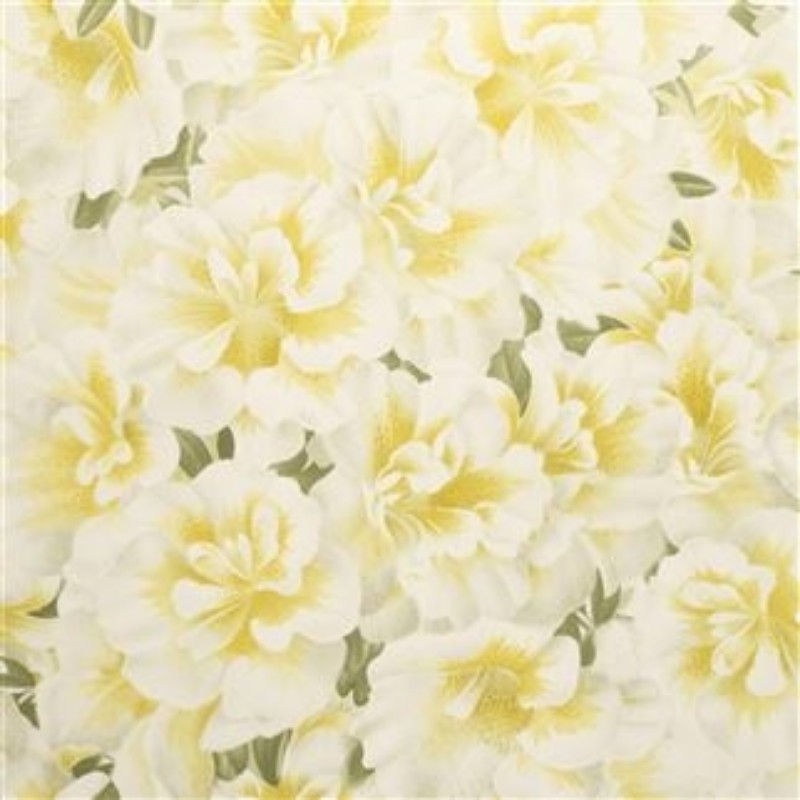 Picture of VARIEGATED AZALEA MIMOSA - PJD6004/03