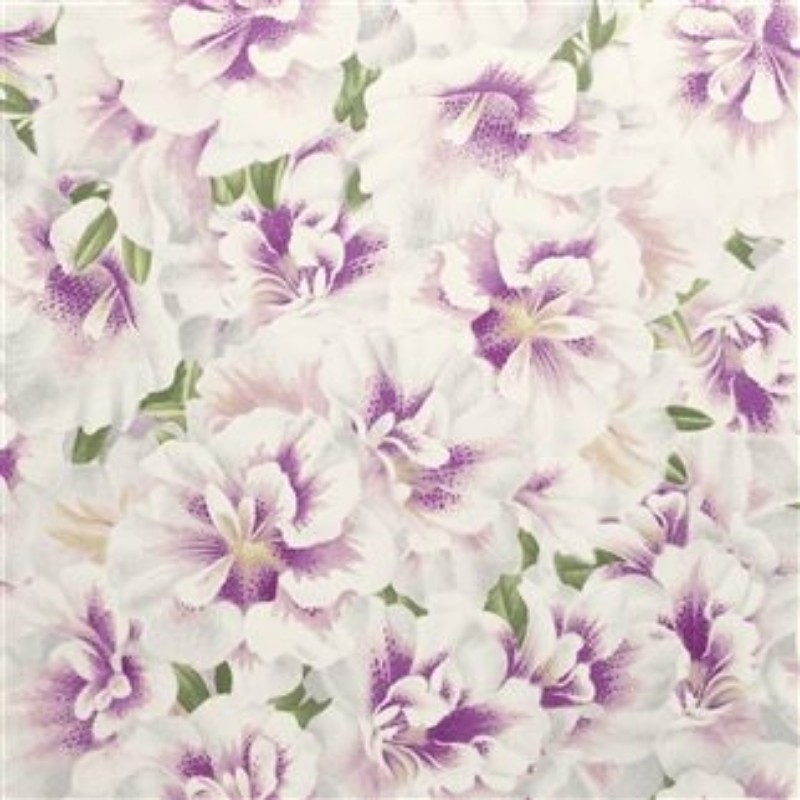 Bild på VARIEGATED AZALEA VIOLET - PJD6004/02