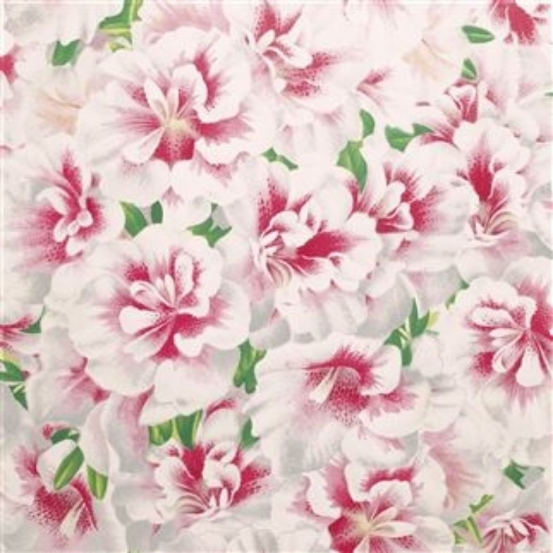 Bild på VARIEGATED AZALEA AZALEA - PJD6004/01