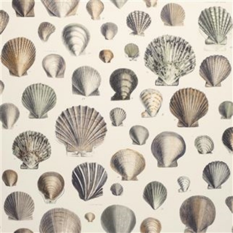 Bild på CAPTAIN THOMAS BROWNS SHELLS OYSTER - PJD6000/02