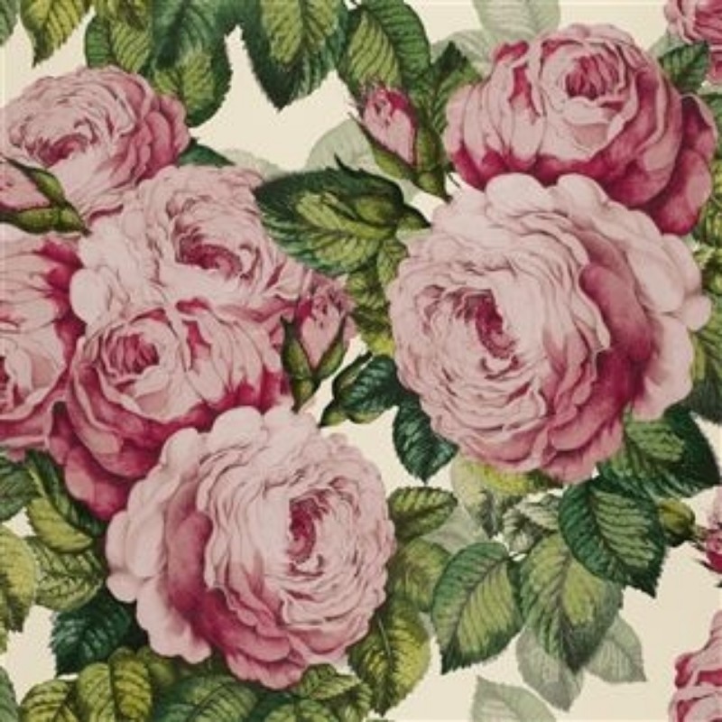 Bild på THE ROSE TUBEROSE - PJD6002/02