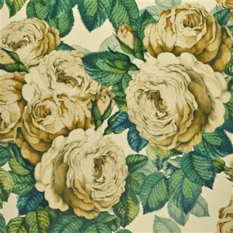 Picture of THE ROSE SEPIA - PJD6002/01