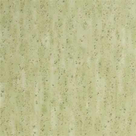 Picture of SHIRAKAWA CEDAR - PDG1063/05